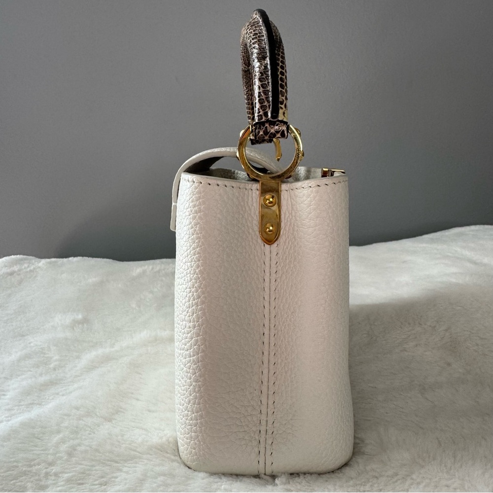 Louis Vuitton Taurillon & Python Leather Capucines Mini Handbag - Picture 7 of 16